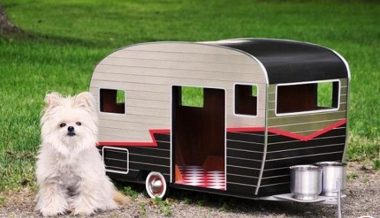 Adorable Puppy Camper Dog House