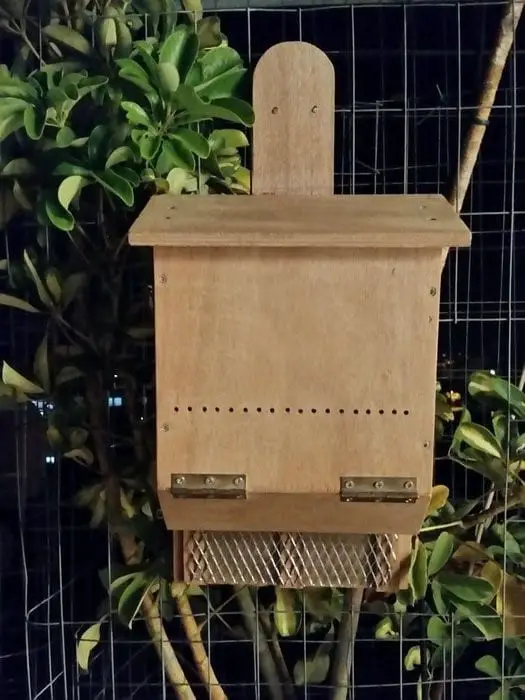 Affordable Bat House 2