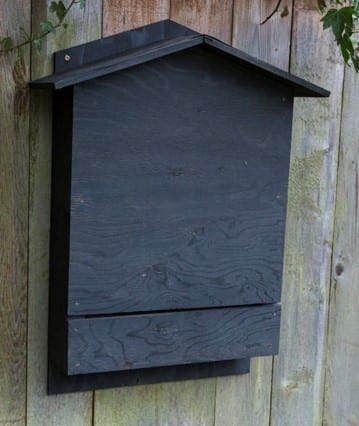 Another Lady Made Bat House