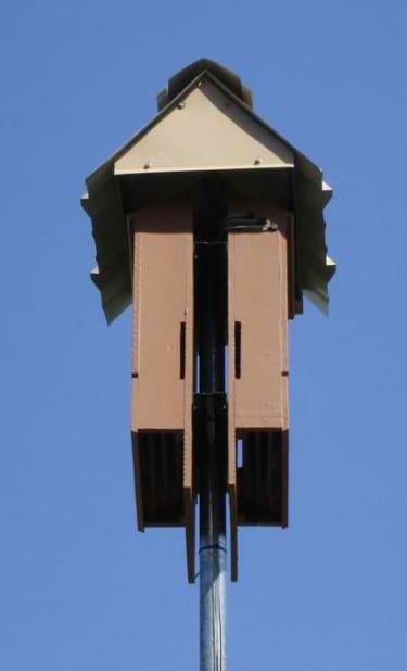 Bat House In A Roof
