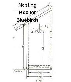 Birdhouse Buzz Nesting Box For Bluebirds