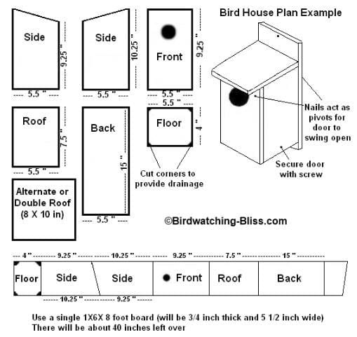 Birdhouse Designs