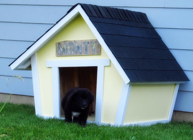 Cartoonish Dog House