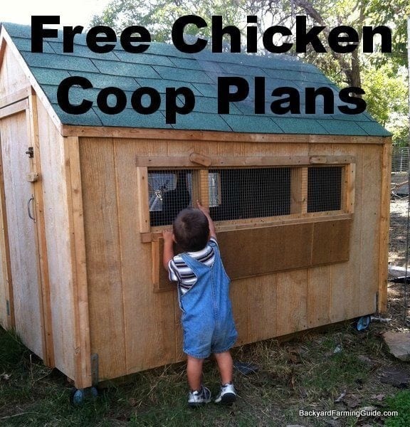 Chicken Coop Plan