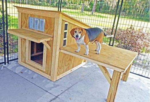 Diy Beautiful Dog House Plan By Mop