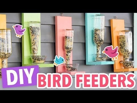 Diy Bird Feeder From Recycled Bottles