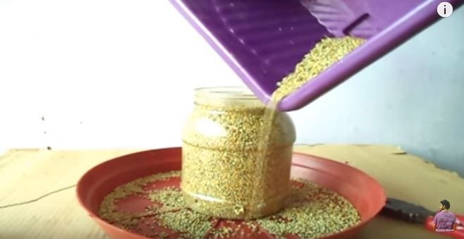 Diy Bird Feeder From Recycled Materials