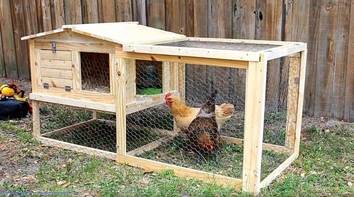 Diy Small Backyard Chicken Coop