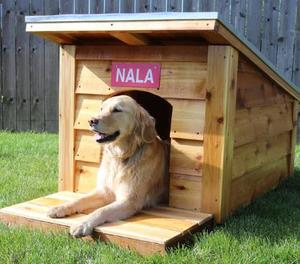 42 Dog House DIY Plans | Cut The Wood