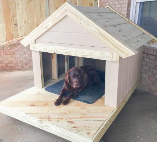 Dog House With A Beautiful Porch