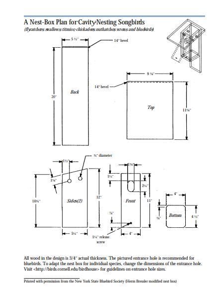 Eastern Bluebird House Plan