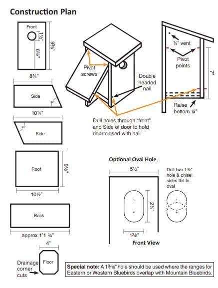 Eastern Or Western Bluebird Nestbox Plan