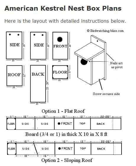 Free American Kestrel Nest Box Plans