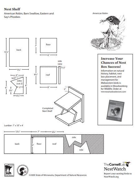 Free American Robin And Eastern Phoebe Bird House Plans
