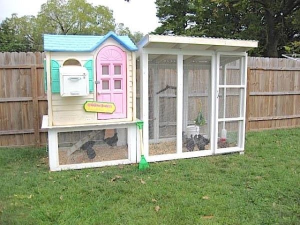 From Playhouse To Hen House