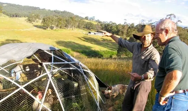 Geodesic Chicken Tractor Plan