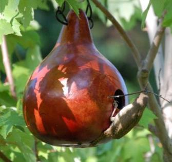 Gourd Birdhouses