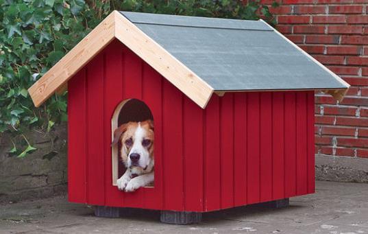 Handyman Tips Diy Free Dog House Plan