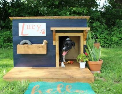 Lucys Dog House By Wood Shop Diaries