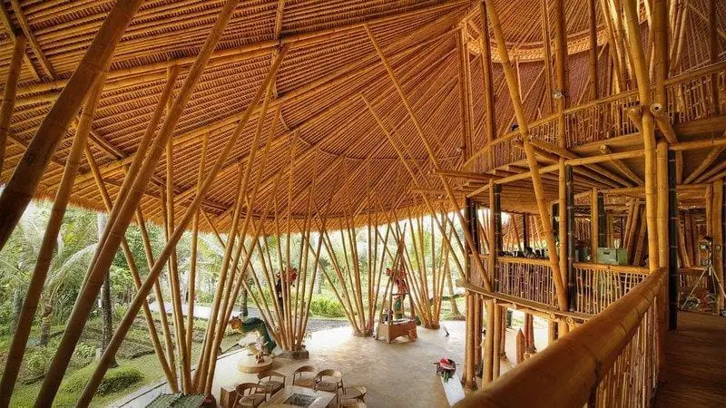 Magical Bamboo Shed