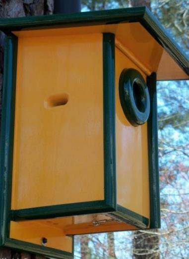 Marks Bird House With Hole Guard 1