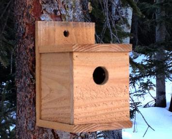 Modern Cardinal Birdhouse Plan