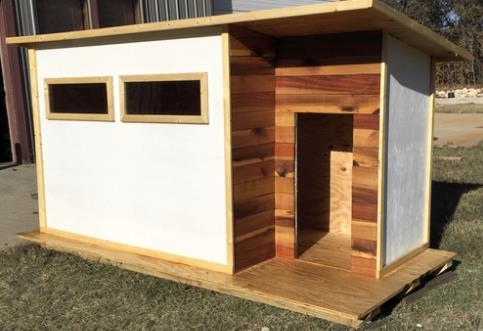 Modern Dog House