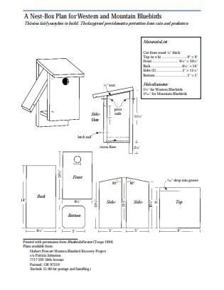 Nest Box Plan For Western Mountain Bluebirds