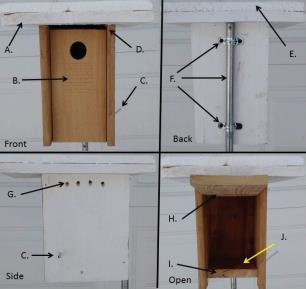 Nestbox Plans 2