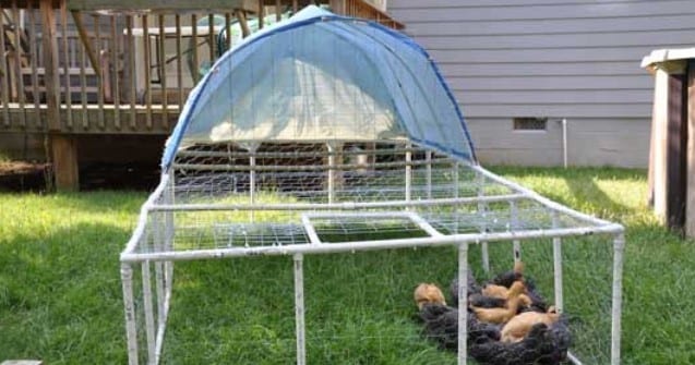 Pvc Pipe Chicken Tractor Plans