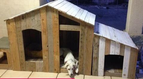 Pallet Dog House By Easy Pallet Ideas