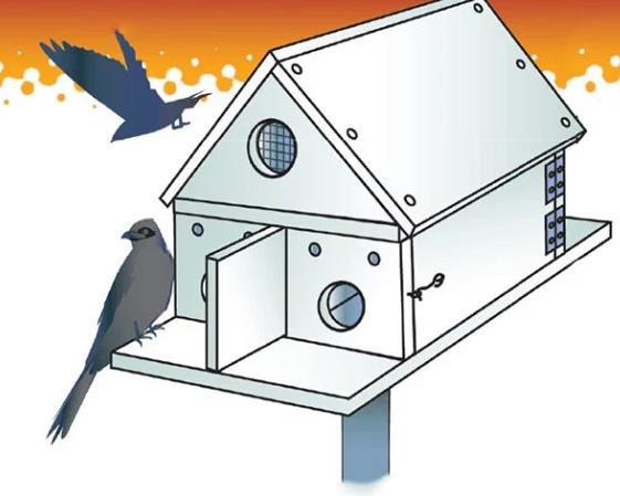 Purple Martin House