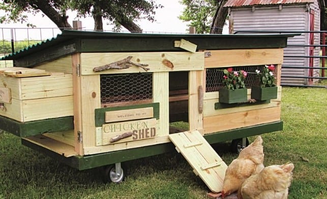 Shed Style Chicken Tractor Plan