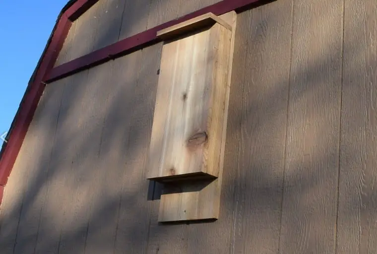Simple Bat House For Beginners
