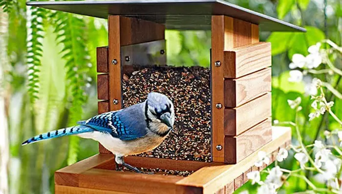 large bird feeder plans