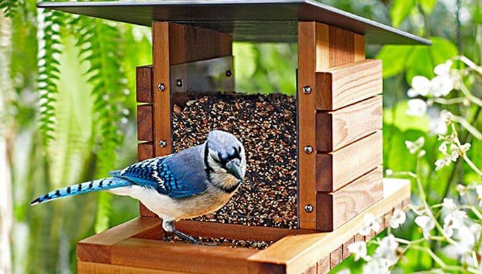 Step By Step Bird Feeder