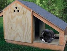 Step By Step Dog House By Grit