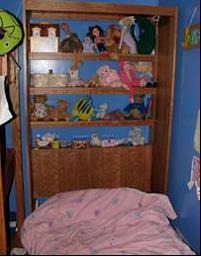 Sturdy Murphy Bed For Children 1