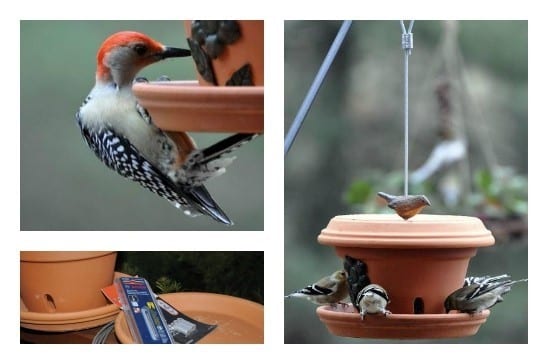 Terra Pot Bird Feeder