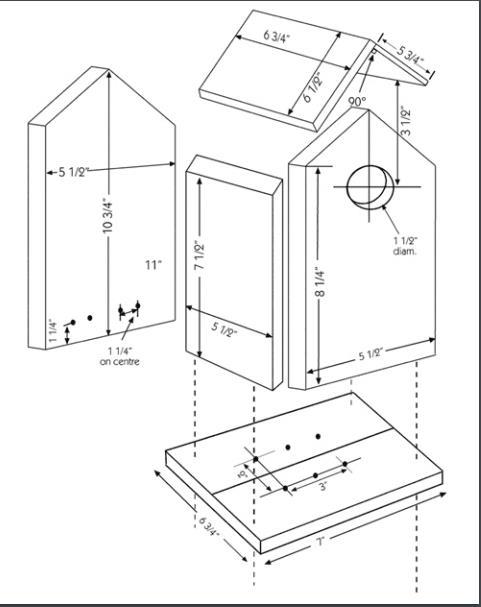 Timber Mark Birdhouse Plans