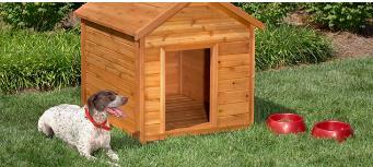 Traditional Dog House By Lowes