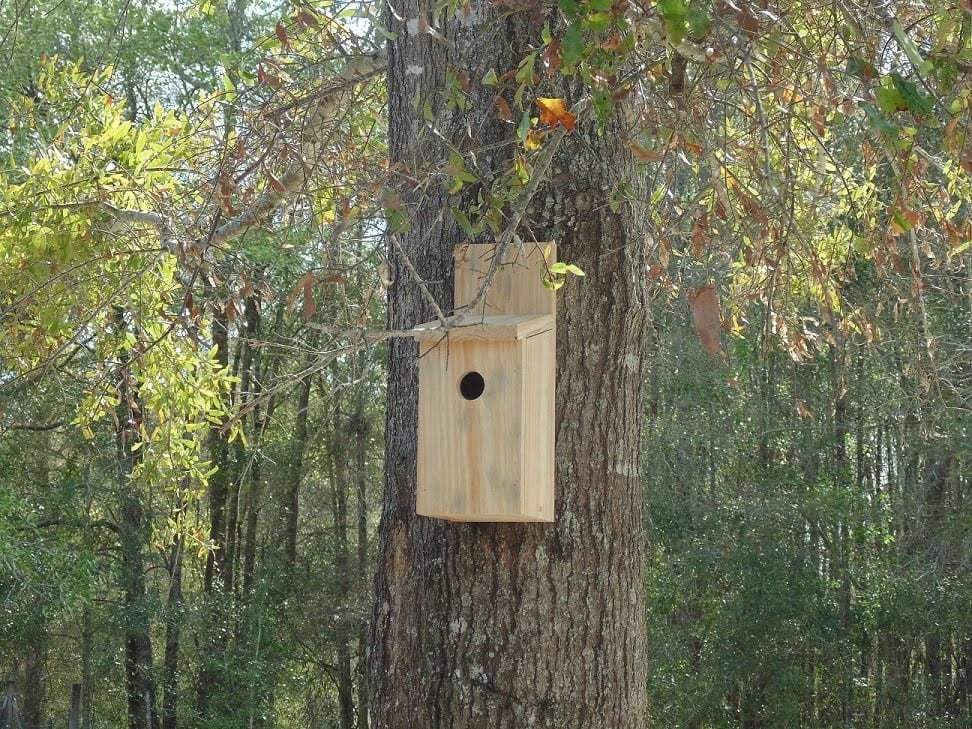 Very Easy To Make Bird House