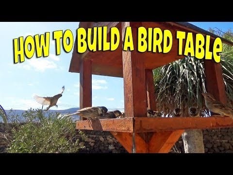 Wooden Bird Feeder With A Bird Table