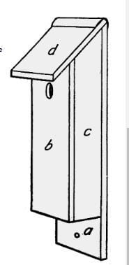 Woodpecker Bird House Plan