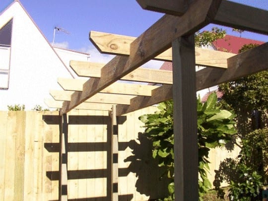 A Walk Through Garden Pergola