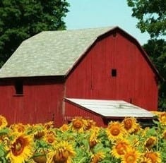 All Purpose Small Barn Plans From Lsu Or Louisiana State University Agricultural Center