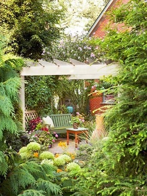 Lovely Green Pergola