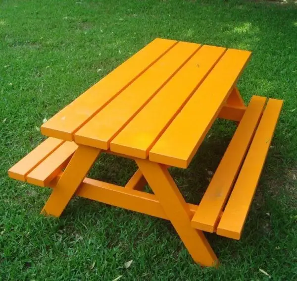 The Big Kids Picnic Table