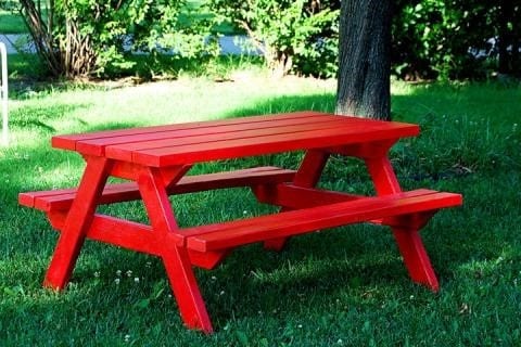 The Picnic Table For Adults