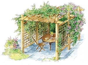 Vine Covered Pergola